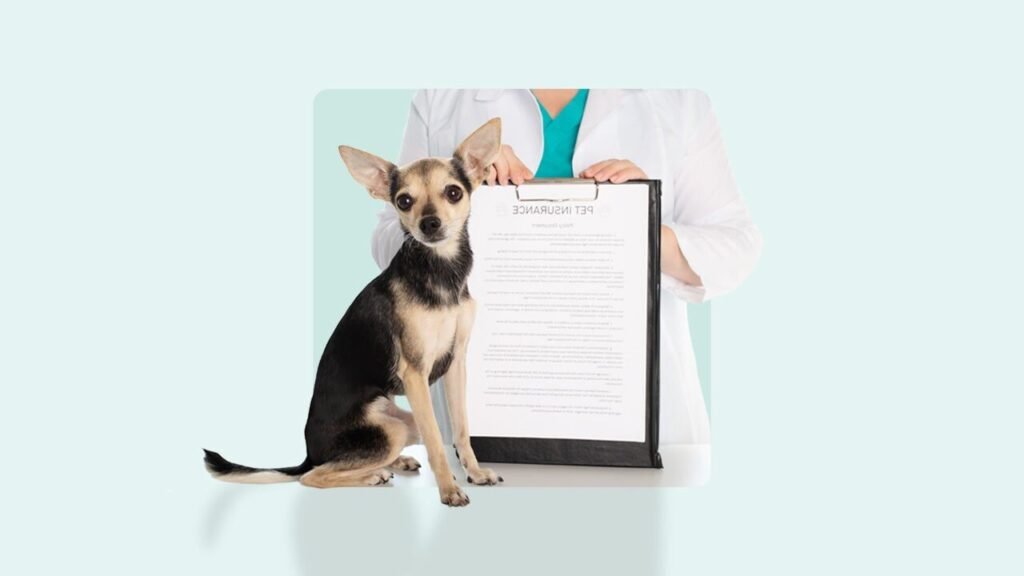 Comment Choisir la Meilleure Assurance pour Son Chien Selon les Avis 1 chien heureux avec maitre et contrat assurance