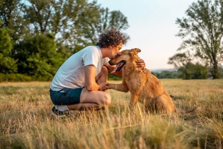 chiens varies dans un refuge accueillant