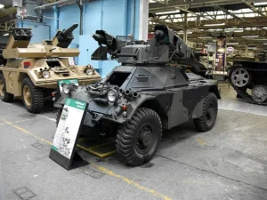 furet observant voiture miniature sur route