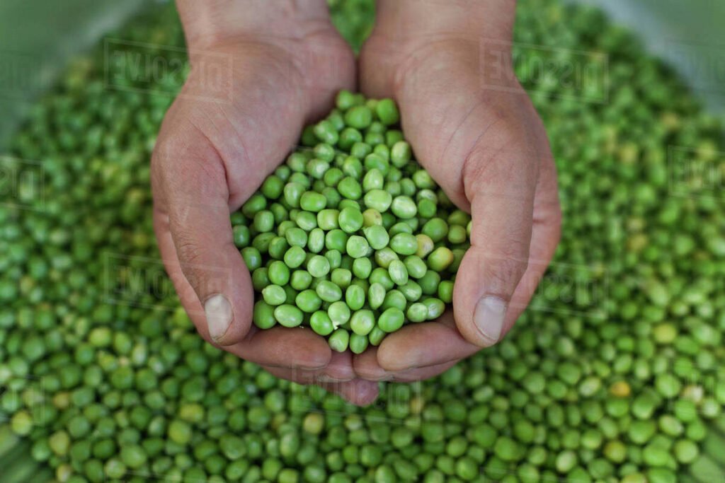 main tenant un compte titres et un pea