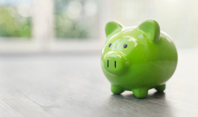 pieces de monnaie sur livret epargne vert